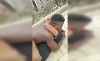 Caught Fucking Outside On The Pavement
